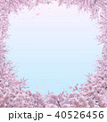 満開の桜 40526456