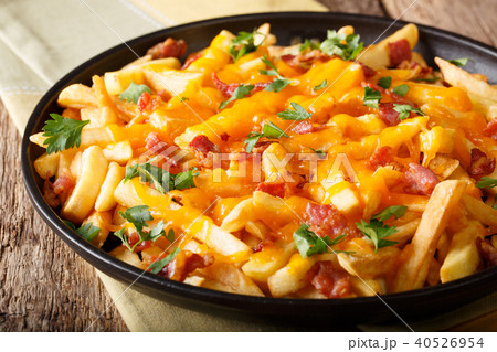 Freshly cooked French fries baked with cheddar Freshly cooked French fries baked with cheddar 40526954