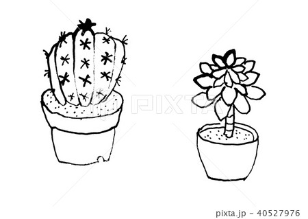 Cactus Succulentsのイラスト素材