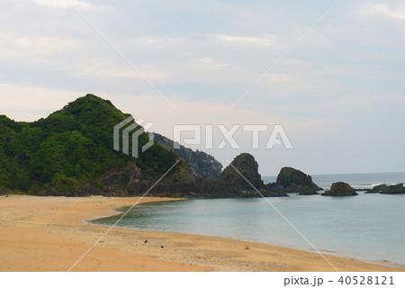 加計呂麻島　ライオン岩　徳浜 40528121