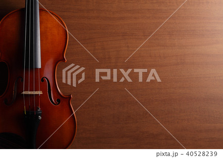 ヴァイオリン 40528239