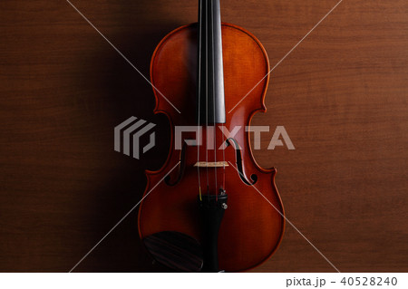 ヴァイオリン 40528240