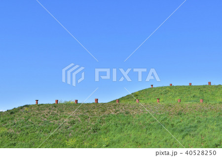 将軍山古墳の稜線 将軍山古墳の稜線 40528250