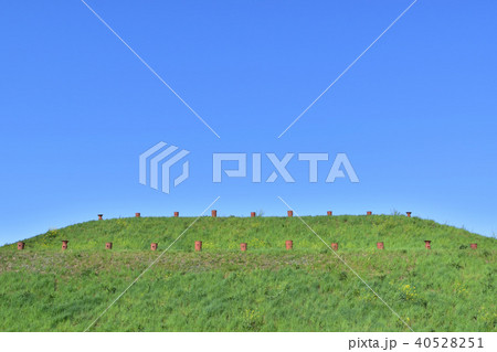 将軍山古墳の稜線と埴輪 将軍山古墳の稜線と埴輪 40528251