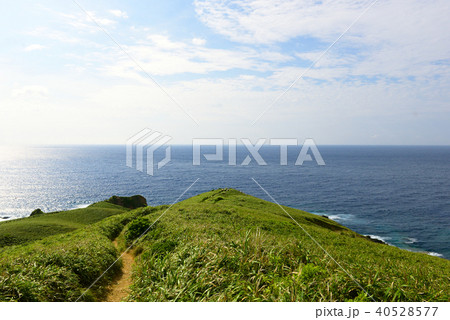 奄美大島　ササントウ　宮古崎 40528577