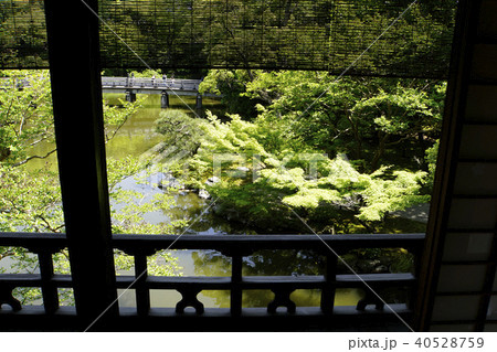 拾翠亭 京都御所 九条家遺構 茶室 数寄屋 書院造り 拾翠亭 京都御所 九条家遺構 茶室 数寄屋 書院造り 40528759