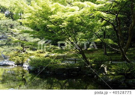 拾翠亭 京都御所 九条家遺構 茶室 数寄屋 書院造り 拾翠亭 京都御所 九条家遺構 茶室 数寄屋 書院造り 40528775