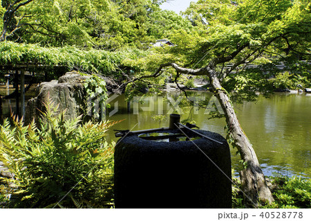 拾翠亭　京都御所　九条家遺構　茶室　数寄屋　書院造り 40528778