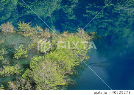 新緑映る奥四万湖 新緑映る奥四万湖 40529278