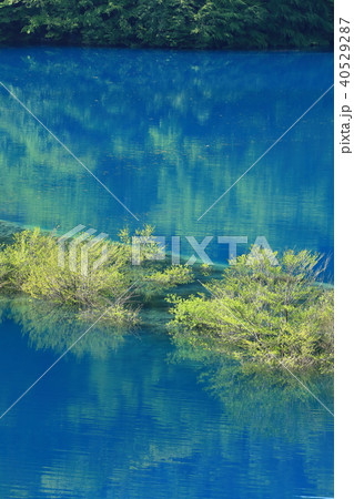 新緑映る奥四万湖 40529287
