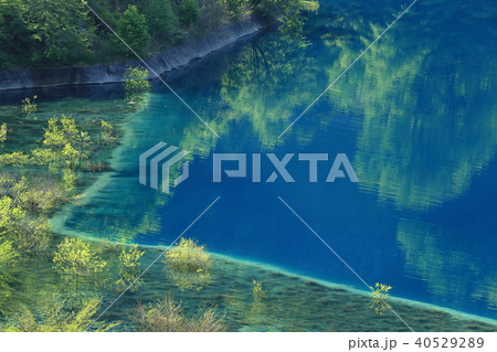 新緑映る奥四万湖 40529289