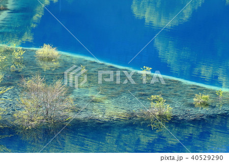 新緑映る奥四万湖 新緑映る奥四万湖 40529290