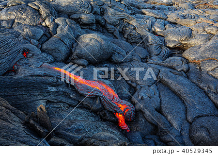 Lava Lava 40529345