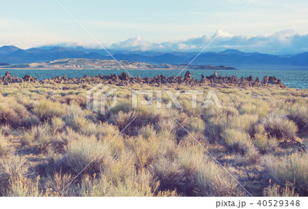 Mono lake Mono lake 40529348