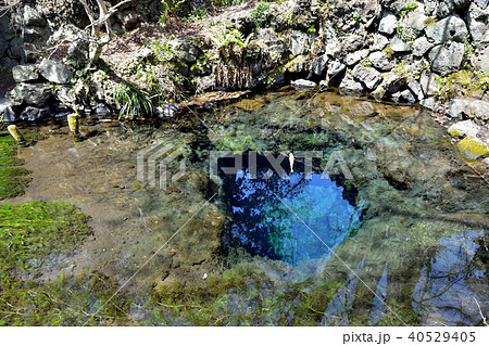 忍野八海・御釜池 40529405