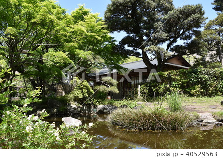 松籟庵 新緑の茅ヶ崎 松籟庵 新緑の茅ヶ崎 40529563