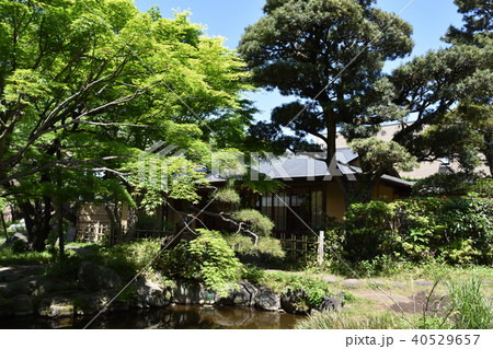 松籟庵 新緑の茅ヶ崎 松籟庵 新緑の茅ヶ崎 40529657