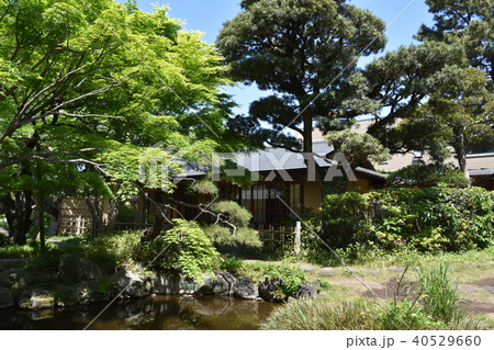 松籟庵　新緑の茅ヶ崎 40529660