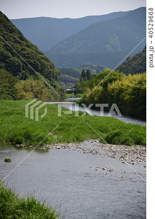 ニホンカワウソが最後に発見された川・新荘川 ニホンカワウソが最後に発見された川・新荘川 40529668