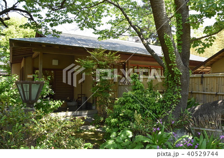 松籟庵　新緑の茅ヶ崎 40529744