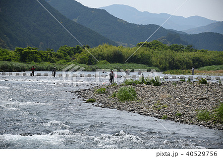 鮎漁解禁日の風景 鮎漁解禁日の風景 40529756
