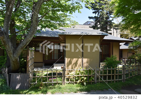 松籟庵　新緑の茅ヶ崎 40529832