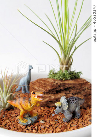 恐竜のジオラマ 40530347