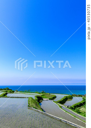 袖志の棚田 京都 袖志の棚田 京都 40530735