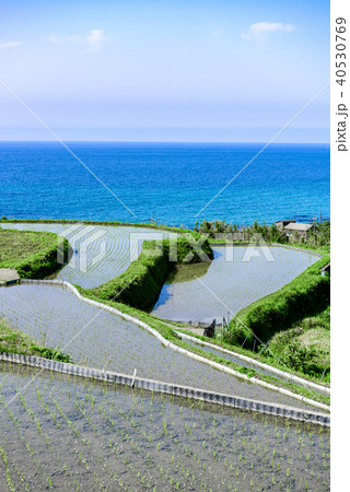 袖志の棚田 京都 袖志の棚田 京都 40530769