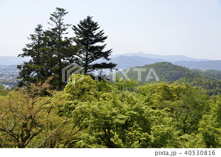修学院離宮 上離宮からの風景 修学院離宮 上離宮からの風景 40530816