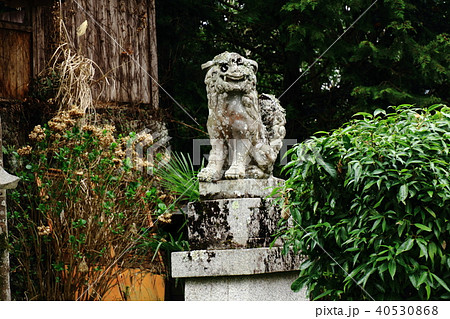 勝手神社、狛犬、吉野山口神社、勝手明神 40530868