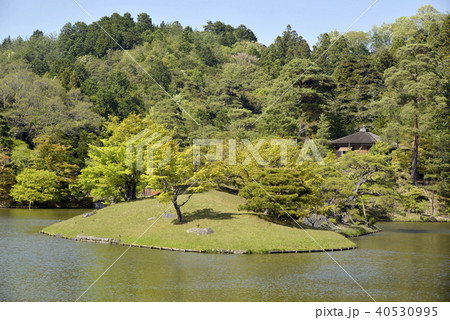 修学院離宮 浴竜池 修学院離宮 浴竜池 40530995