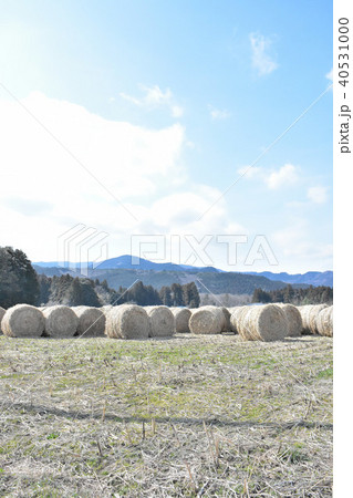 干草ロール 40531000