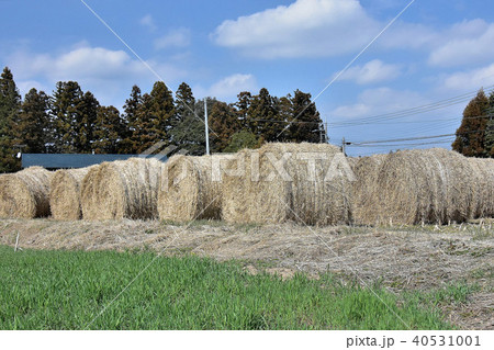 干草ロール 40531001