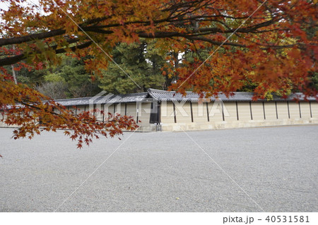 土塀　仙洞御所　京都御所　紅葉　秋の京都 40531581