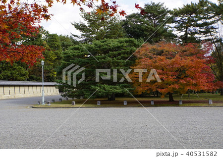 土塀　仙洞御所　京都御所　紅葉　秋の京都 40531582