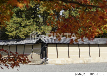 土塀　仙洞御所　京都御所　紅葉　秋の京都 40531585