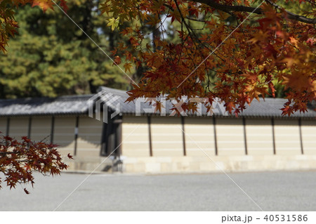 土塀 仙洞御所 京都御所 紅葉 秋の京都の写真素材