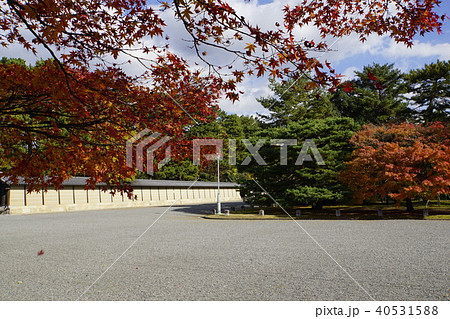 土塀 仙洞御所 京都御所 紅葉 秋の京都の写真素材