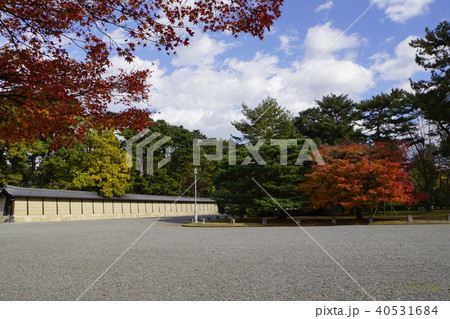 土塀 仙洞御所 京都御所 紅葉 秋の京都 土塀 仙洞御所 京都御所 紅葉 秋の京都 40531684