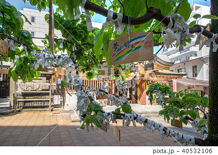 高輪神社 高輪神社 40532106