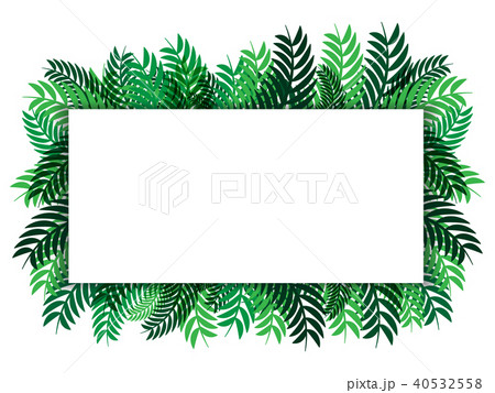 White paper green leaves  vector abstract  nature  40532558
