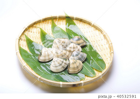 小玉貝　こだまがい　食材 40532591