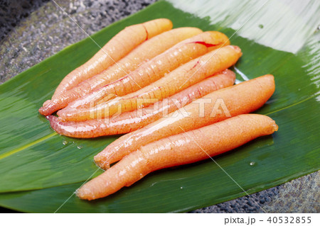 アゴ（トビウオ）の卵 40532855