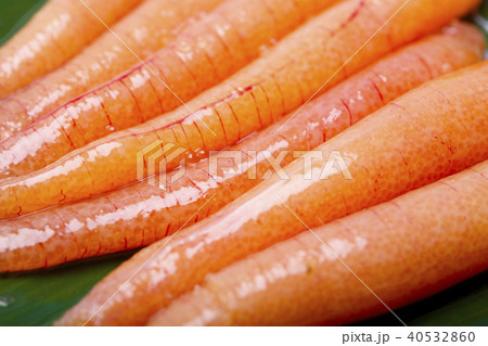 アゴ（トビウオ）の卵 40532860