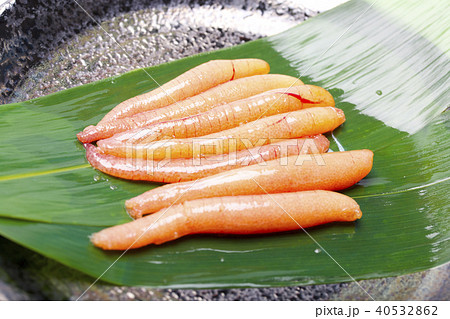 アゴ（トビウオ）の卵 40532862