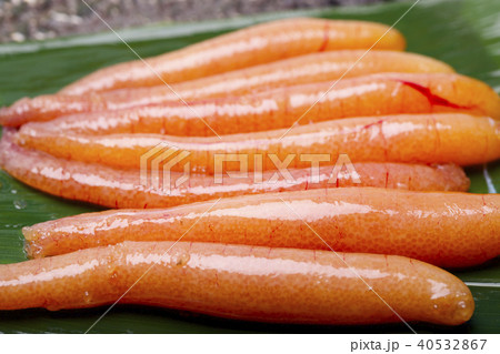 アゴ トビウオ の卵の写真素材