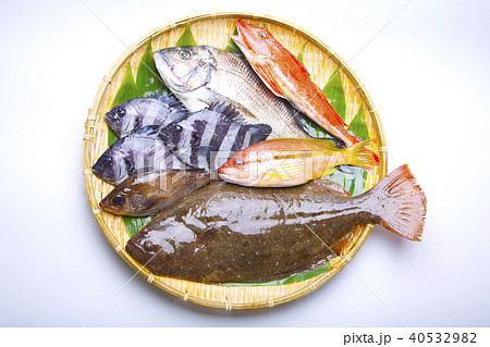 夏の魚 盛り合わせの写真素材