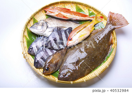 夏の魚　盛り合わせ 40532984