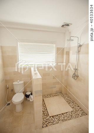 Light small bathroom with toilet and shower Light small bathroom with toilet and shower 40533634